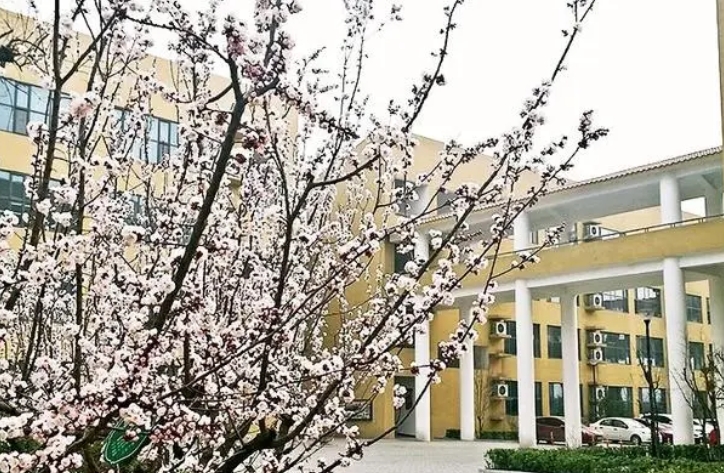 2024邯鄲市第二中學(xué)招生計(jì)劃 招生人數(shù)是多少(附要求、條件、對象)