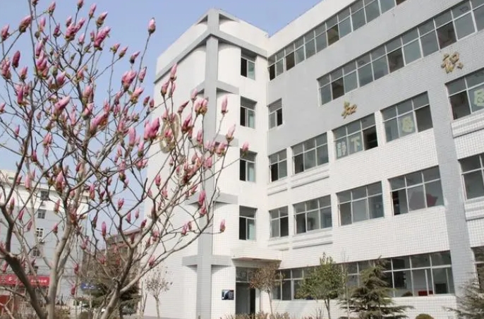 2024邢臺市第三中學(xué)招生計劃 招生人數(shù)是多少(附要求、條件、對象)