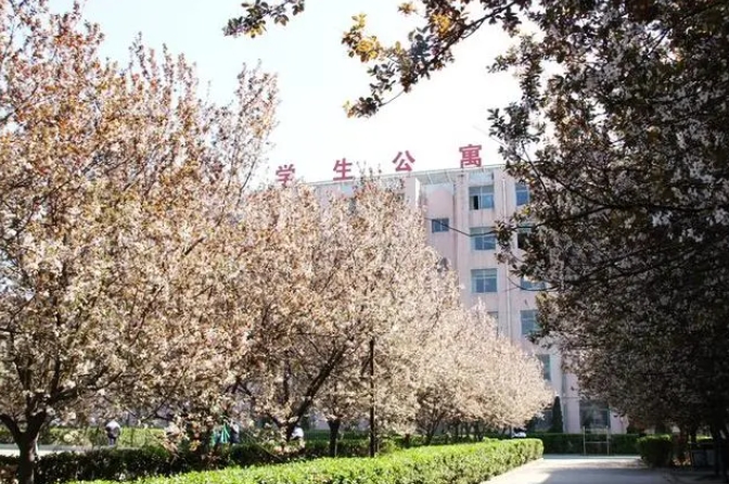 邢臺市第三中學(xué)地址，乘車路線
