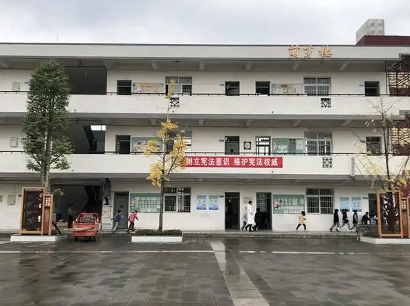 成都市青白江區(qū)龍王中學招生簡章2025年