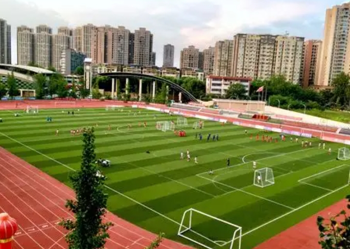 2025成都市青白江區(qū)龍王中學招生計劃 招生人數(shù)是多少(附要求、條件、對象)